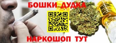 шишки Кингисепп