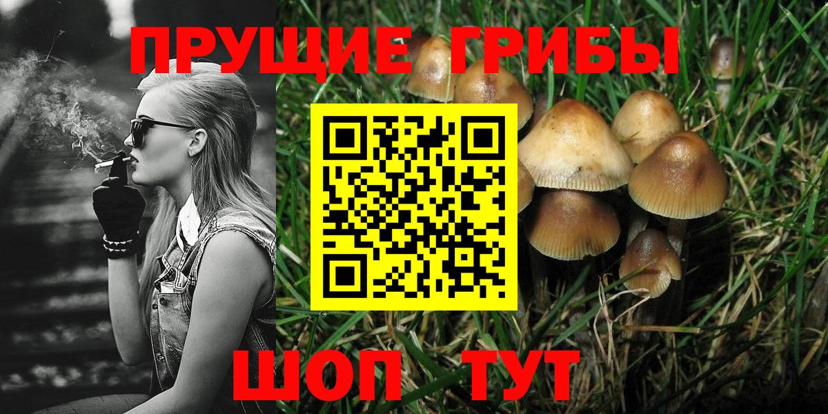 Псилоцибиновые грибы GOLDEN TEACHER  где можно купить   Кушва  Вход с VPN 
