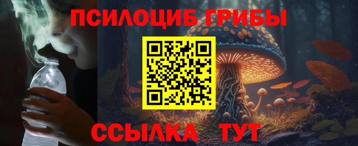 Псилоцибиновые грибы MAGIC MUSHROOMS Кушва
